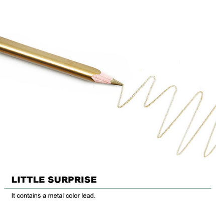 12 Premium Artist Soft Wax-based Coloured Pencils Splendid&Co.