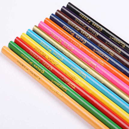 12 Premium Artist Soft Wax-based Coloured Pencils Splendid&Co.