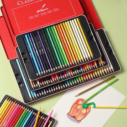 12 Premium Artist Soft Wax-based Coloured Pencils Splendid&Co.