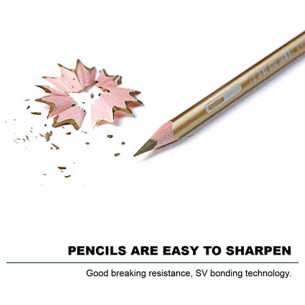 12 Premium Artist Soft Wax-based Coloured Pencils Splendid&Co.