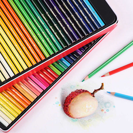 12 Premium Artist Soft Wax-based Coloured Pencils Splendid&Co.
