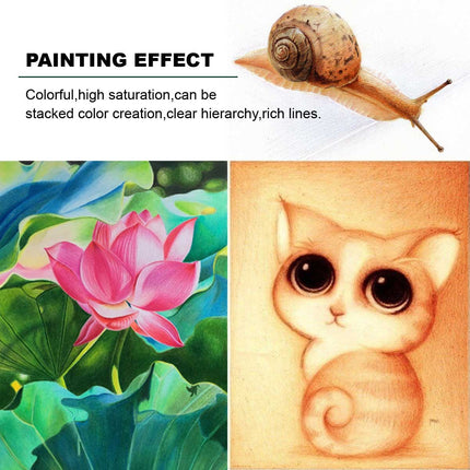 12 Premium Artist Soft Wax-based Coloured Pencils Splendid&Co.