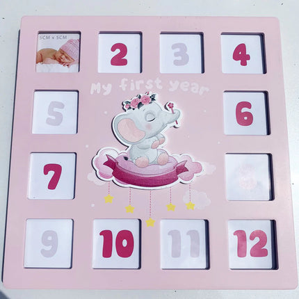 My First Year Newborn Baby 12 Pictures Photo Frame Frames Pink