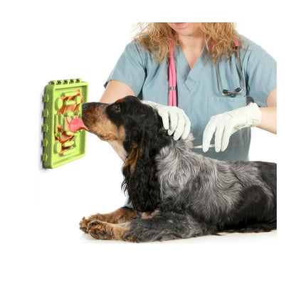 4pc Dog Maze Plate Eating Slow Feeder - Image 8