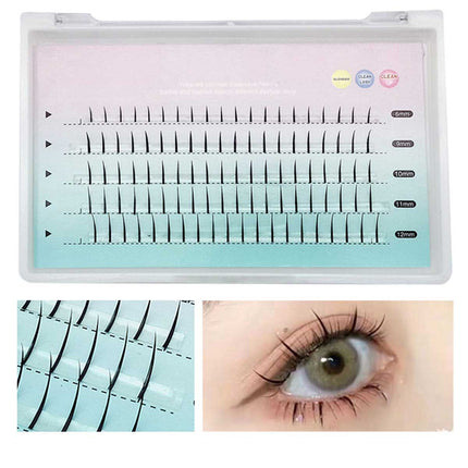 6mm-12mm Fishtail A Type Mixed Eyelash Splendid&Co.