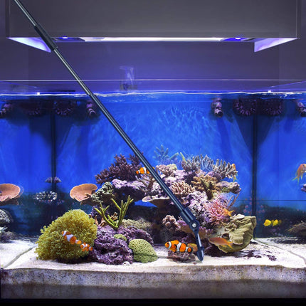 Aquarium Stainless Steel Algae Scraper Blade Fish Tank Glass Cleaner Splendid&Co.