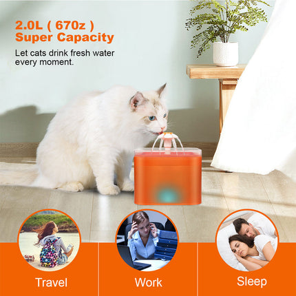 Automatic LED Electric Dog Cat Pet Water Fountain Blue Splendid&Co.