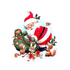 SANTA CLAUS  30 x 40 cm