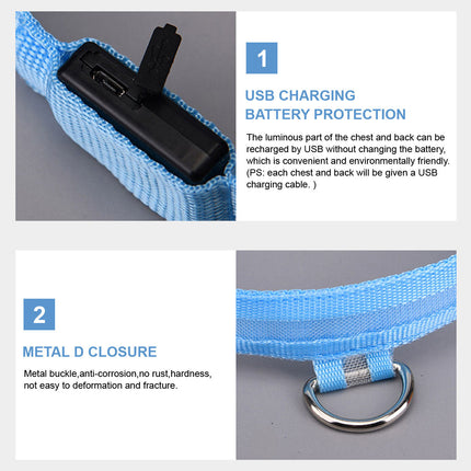 Dog Flashing LED Collar USB Rechargable Splendid&Co.
