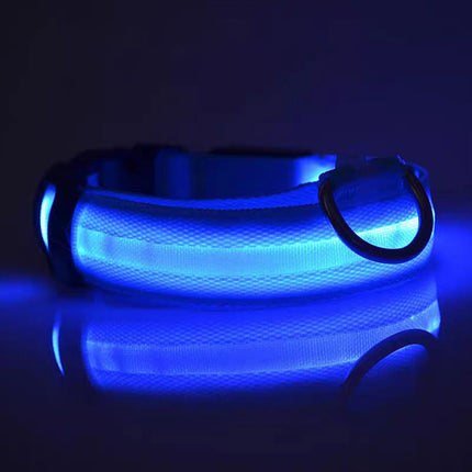 Dog Flashing LED Collar USB Rechargable Splendid&Co.