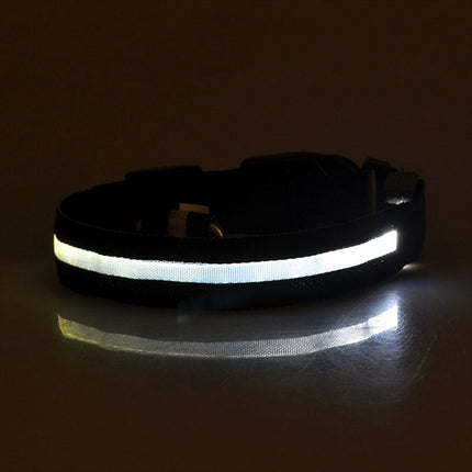 Dog Flashing LED Collar USB Rechargable Splendid&Co.
