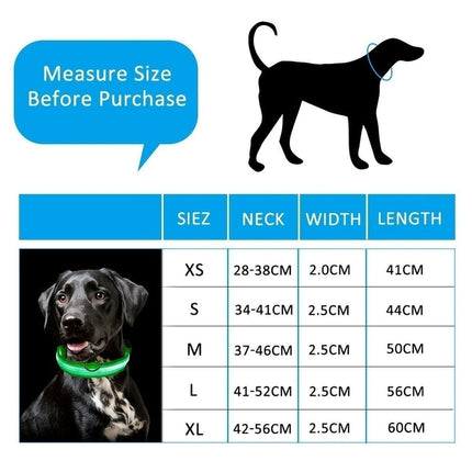 Dog Flashing LED Collar USB Rechargable Splendid&Co.