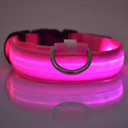 Dog Flashing LED Collar USB Rechargable Splendid&Co.