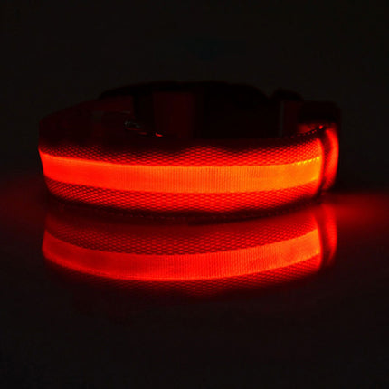Dog Flashing LED Collar USB Rechargable Splendid&Co.