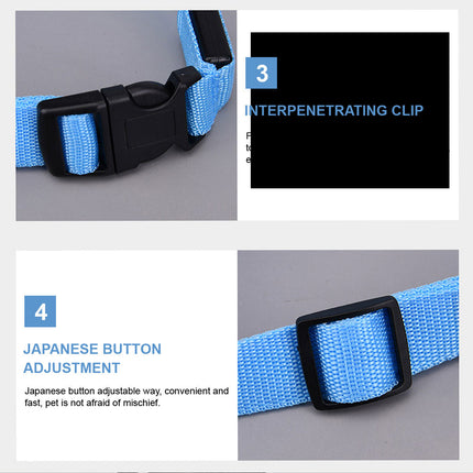 Dog Flashing LED Collar USB Rechargable Splendid&Co.