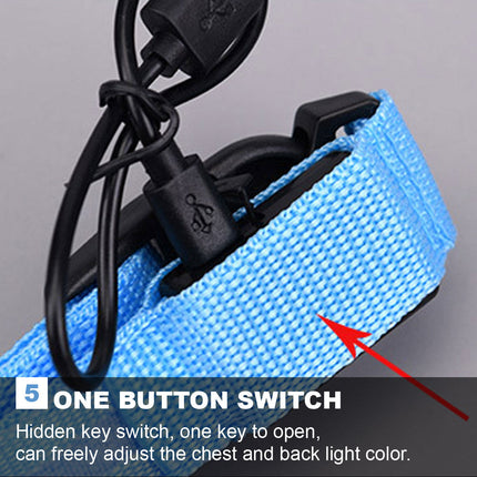 Dog Flashing LED Collar USB Rechargable Splendid&Co.