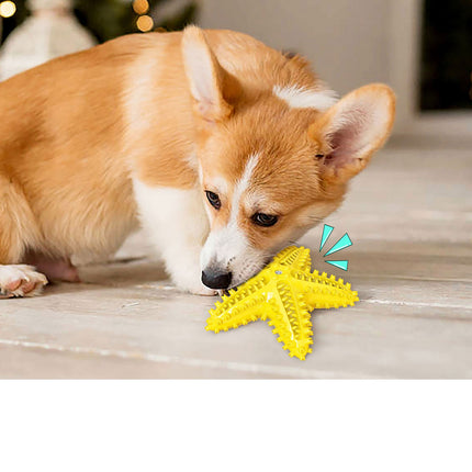 Dog Pet Toothbrush Brushing Starfish Stick Teal Splendid&Co.