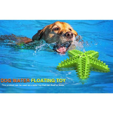 Dog Pet Toothbrush Brushing Starfish Stick Teal Splendid&Co.