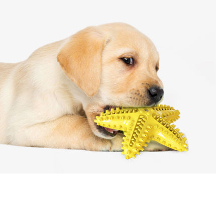 Dog Pet Toothbrush Brushing Starfish Stick Teal Splendid&Co.