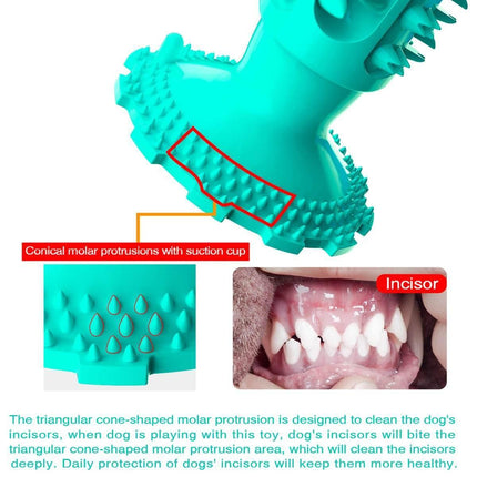 Dog Squeaky Toothbrush With Suction Cup Teal Splendid&Co.