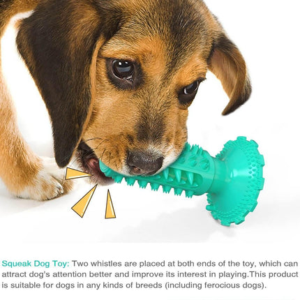 Dog Squeaky Toothbrush With Suction Cup Teal Splendid&Co.
