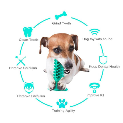 Dog Squeaky Toothbrush With Suction Cup Teal Splendid&Co.