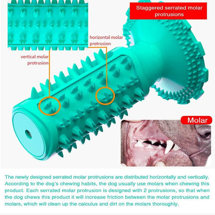 Dog Squeaky Toothbrush With Suction Cup Teal Splendid&Co.