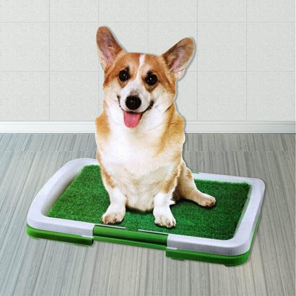 Dog Toilet Potty Training Grass Mat Splendid&Co.