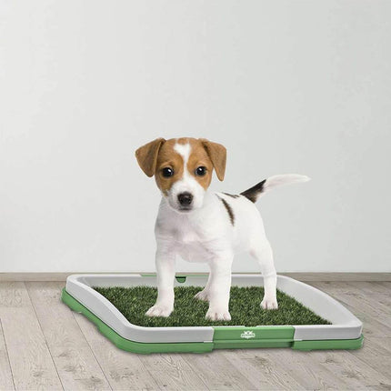 Dog Toilet Potty Training Grass Mat Splendid&Co.