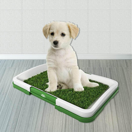 Dog Toilet Potty Training Grass Mat Splendid&Co.