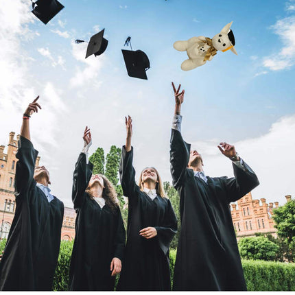 Graduation 26cm Message Kangaroo & Signature Pen Toy Gift Present Free Marker Splendid&Co.