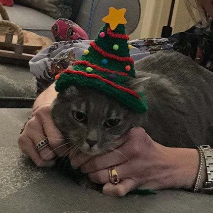 Handmade Christmas Pet Cat Dog Clothes Hat Costume Decoration Xmas Splendid&Co.