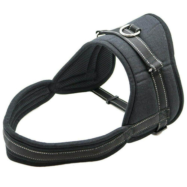 Heavy Duty Adjustable Dog Harness Splendid&Co.
