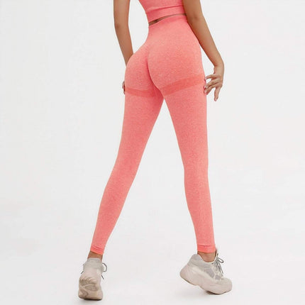 High Waist Training Legging For Yoga Fitness Splendid&Co.