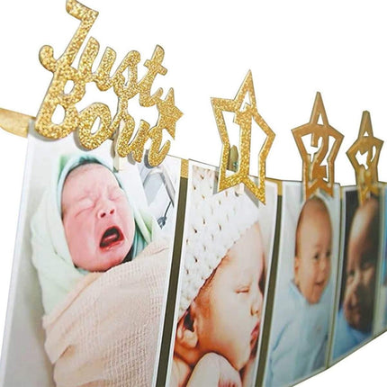 Personalized One Year Photo Banner Monthly Photo Birthday Banner Pink Splendid&Co.