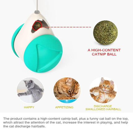 Pet Balance Car Toy Splendid&Co.