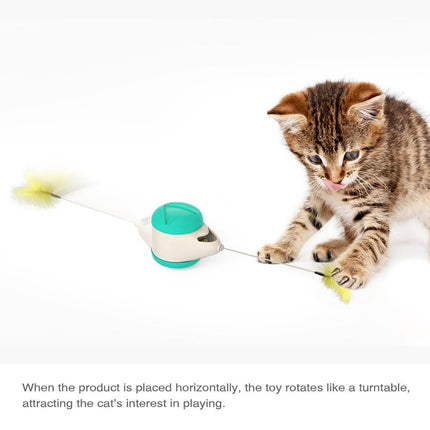Pet Balance Car Toy Splendid&Co.