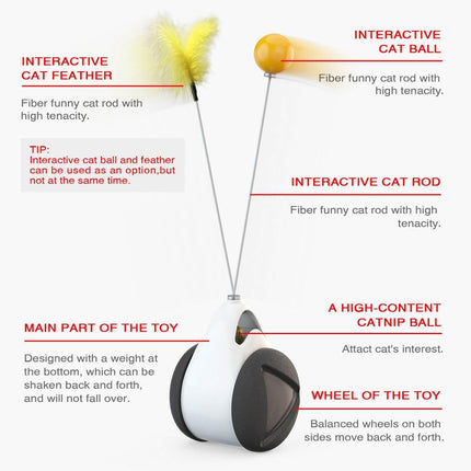 Pet Balance Car Toy Splendid&Co.