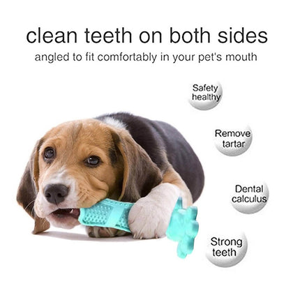 Pet Dog Chew Toy Teeth Cleaning Toothbrush Splendid&Co.