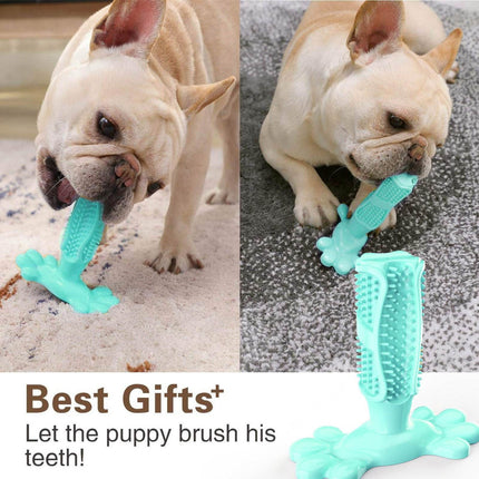 Pet Dog Chew Toy Teeth Cleaning Toothbrush Splendid&Co.