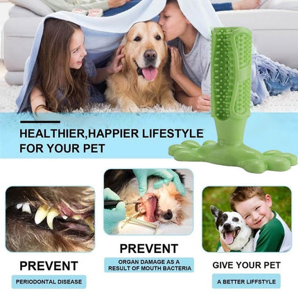 Pet Dog Chew Toy Teeth Cleaning Toothbrush Splendid&Co.