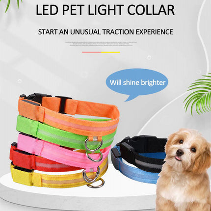 Dog Flashing LED Collar USB Rechargable - Image 2