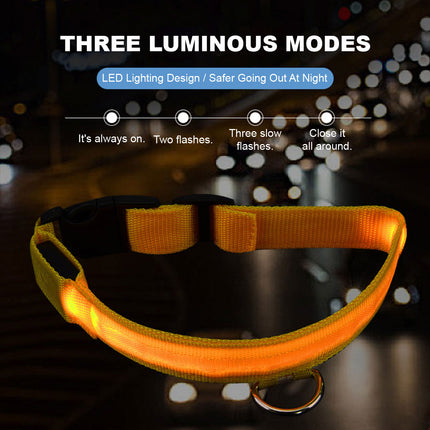 Dog Flashing LED Collar USB Rechargable - Image 3