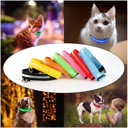 Dog Flashing LED Collar USB Rechargable - Image 5