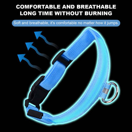 Dog Flashing LED Collar USB Rechargable - Image 6