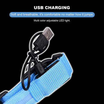 Dog Flashing LED Collar USB Rechargable - Image 7