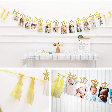 Gold Personalized One Year Photo Banner Monthly Photo Birthday Banner - Image 2