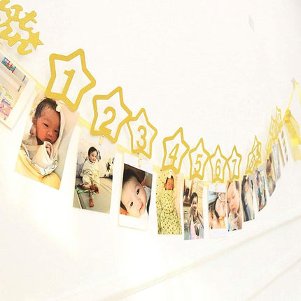 Gold Personalized One Year Photo Banner Monthly Photo Birthday Banner - Image 3