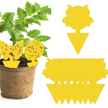 Dual Sided Strong Sticky Trap Insect Killer