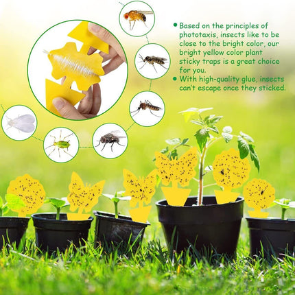 Dual Sided Strong Sticky Trap Insect Killer